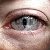 :iconseldaek: