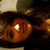 :iconselenabear14: