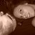 :iconselenaseduction: