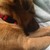 :iconselene-papillon: