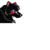 SeleneWolf25 :iconselenewolf25: