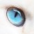 :iconselesatray: