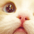 :iconselflessdesire: