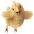 :iconselhteus: