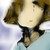 :iconselimnagisokrov: