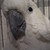 :iconselin16: