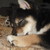:iconselinealm342:
