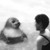 :iconselkie-fox: