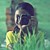 :iconsellena711: