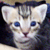 :iconsellyoursoul1: