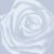 :iconselnith: