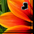 :iconseltenes-puzzlespiel: