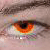 :iconsemaj-tnarb: