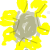 :iconseminiray:
