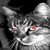 :iconsemke: