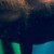 :iconsemmyh: