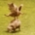 :iconsen5ou: