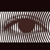 :iconSena8: