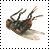 :iconsendhope: