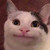 :iconsenia5: