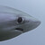 :iconsens3mann: