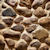 :iconsensation-elle: