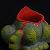 :iconsense-seedling: