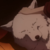:iconsenshu-kiba: