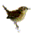 :iconsensitive-depth: