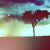 :iconsenslogine: