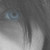 :iconsentimi: