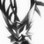 :iconsentinelknight: