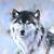 :iconsentinelxwolf: