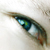 :iconseoner: