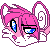 :iconseosilver: