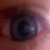 :iconseph-z: