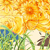 :iconsephiaberry: