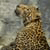 :iconsephirothseviltwin: