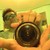 :iconseppbood369: