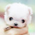 :iconsepsunlight: