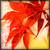 :iconseptember--sun: