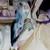 :iconseptemberbaby: