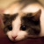 :iconseptemberbug: