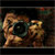 :iconseptiady: