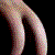:iconseptuagent: