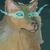 :iconsequeltolife: