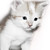 :iconser-pounce-a-lot: