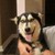 :iconseraephiim: