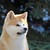 :iconserahwolf: