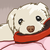 :iconseraphdoomwyte: